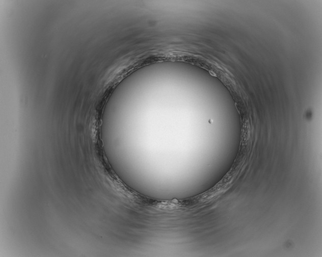 X0000094170762200710260909