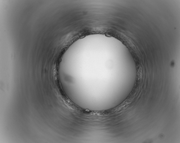 X0000094170764200710260909