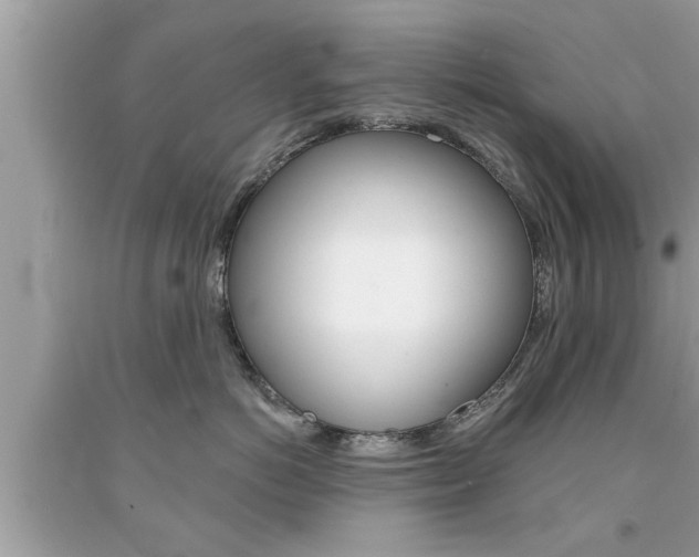 X0000094170766200710260909