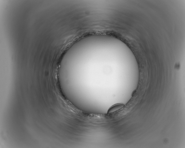 X0000094170768200710260909