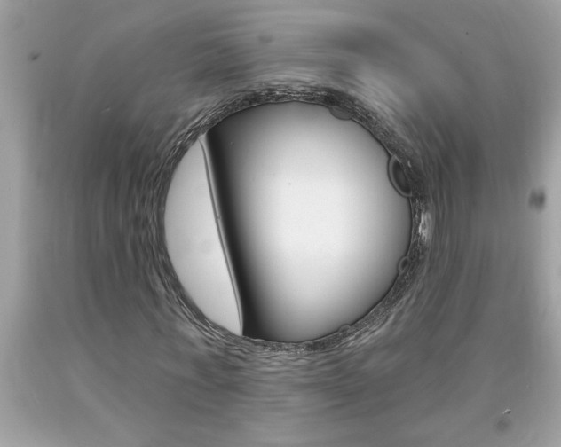 X0000094170771200710260908
