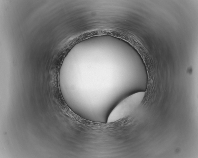 X0000094170773200710260908