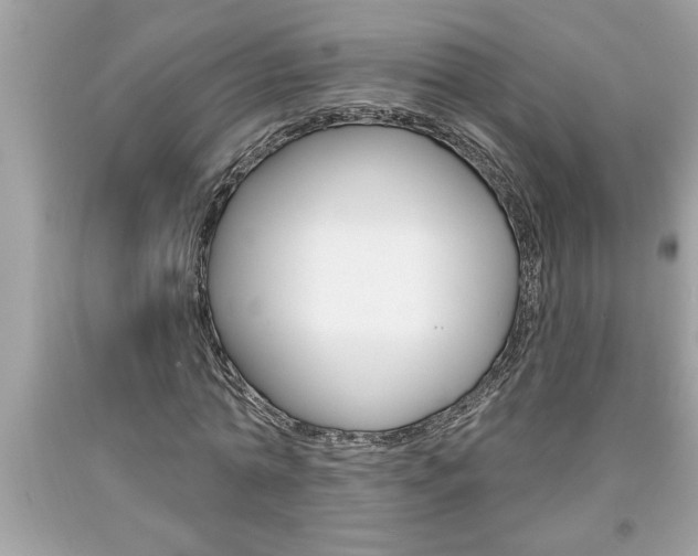 X0000094170774200710260908
