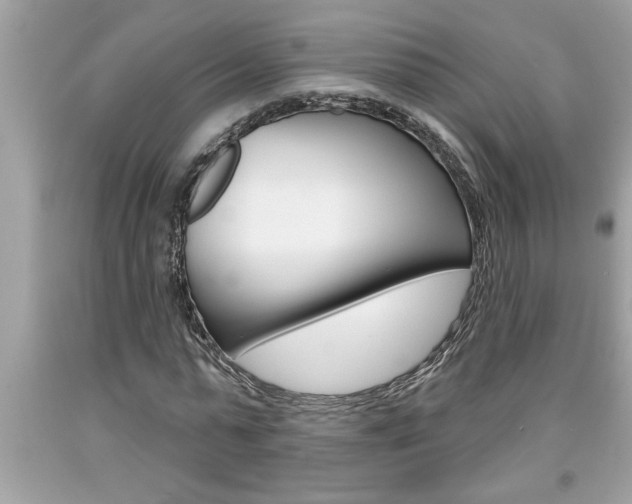 X0000094170775200710260908