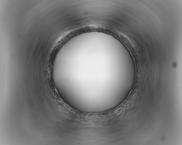 X0000094170776200710260908