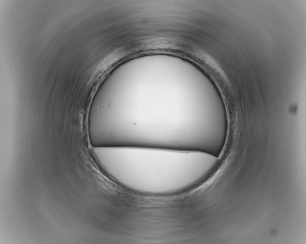 X0000094170777200710260908