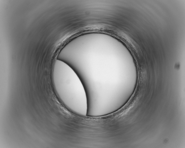 X0000094170778200710260908
