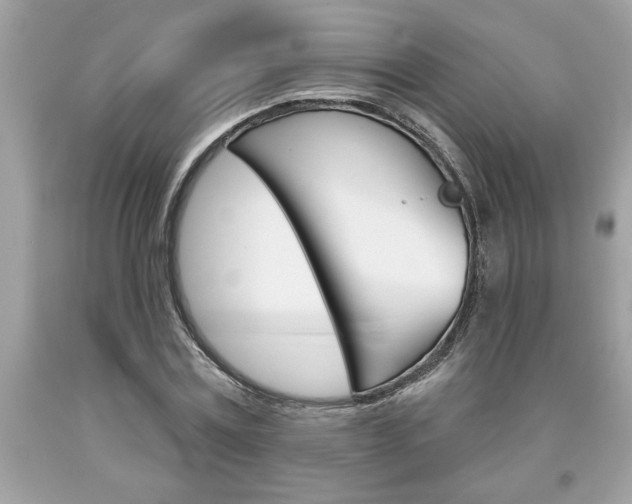 X0000094170779200710260908