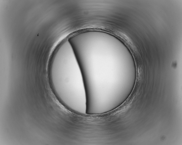 X0000094170780200710260908