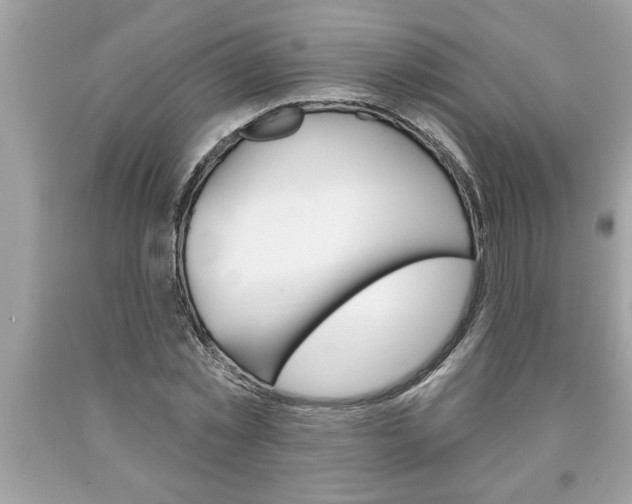 X0000094170781200710260908