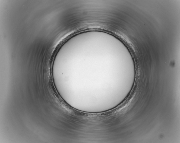 X0000094170782200710260908