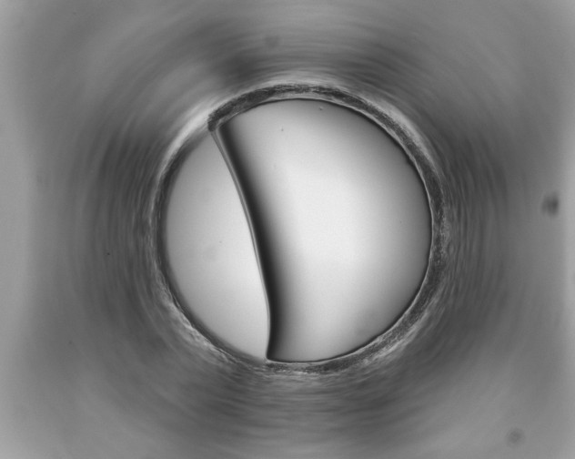 X0000094170783200710260908