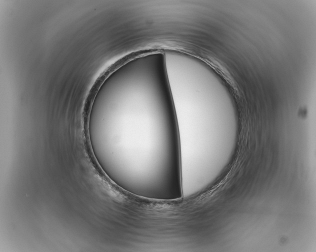 X0000094170784200710260908