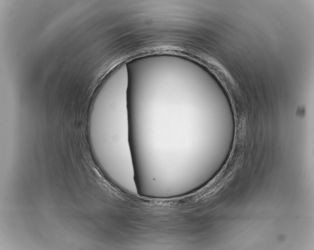 X0000094170785200710260908