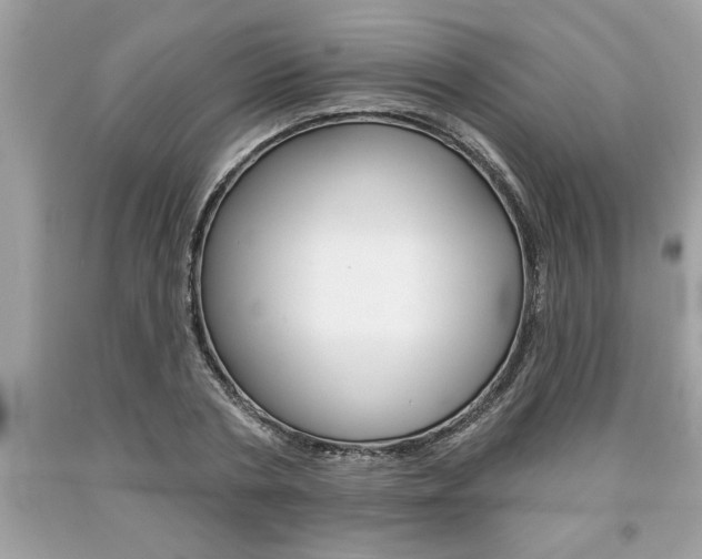 X0000094170786200710260908