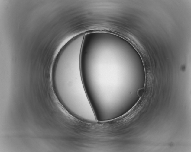 X0000094170788200710260908