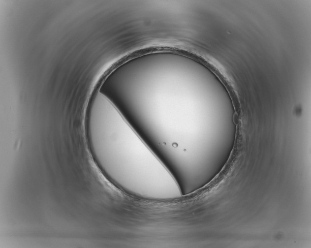 X0000094170791200710260908