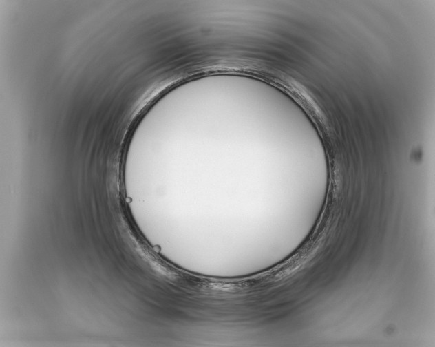 X0000094170794200710260908