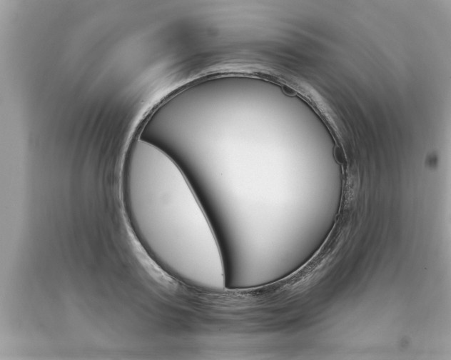 X0000094170795200710260908