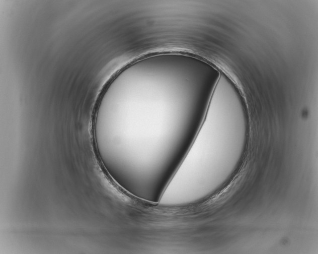 X0000094170797200710260908