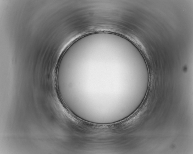 X0000094170798200710260908