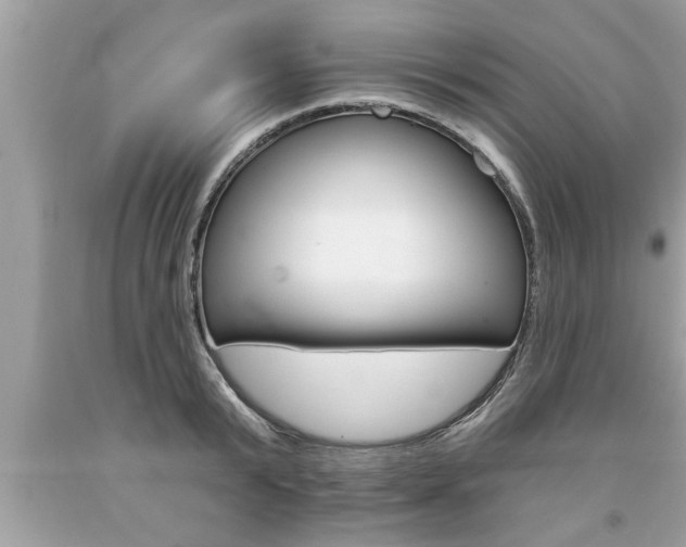 X0000094170799200710260908