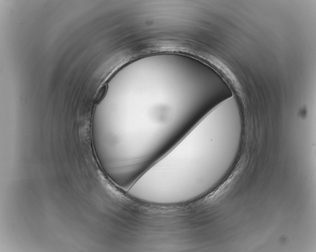 X0000094170801200710260908