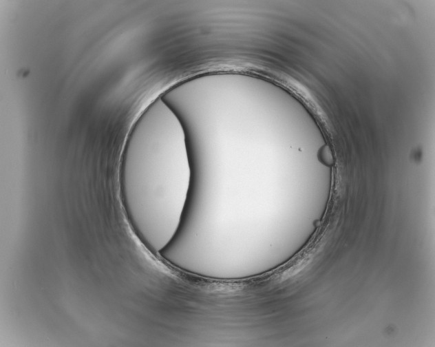 X0000094170802200710260908