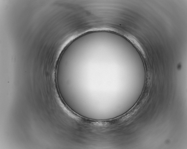 X0000094170805200710260908