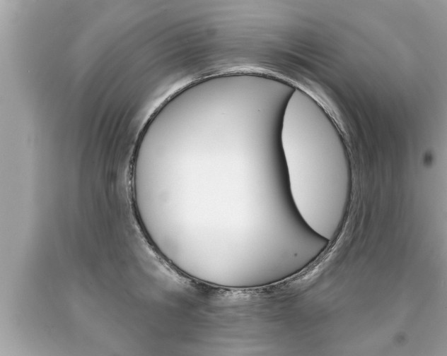 X0000094170806200710260908