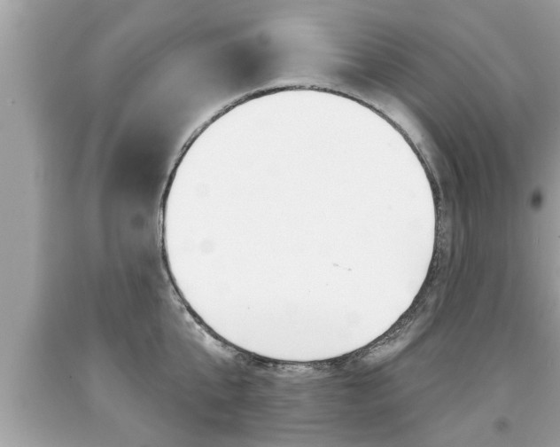 X0000094170807200710260908
