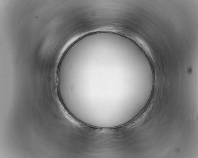 X0000094170808200710260908