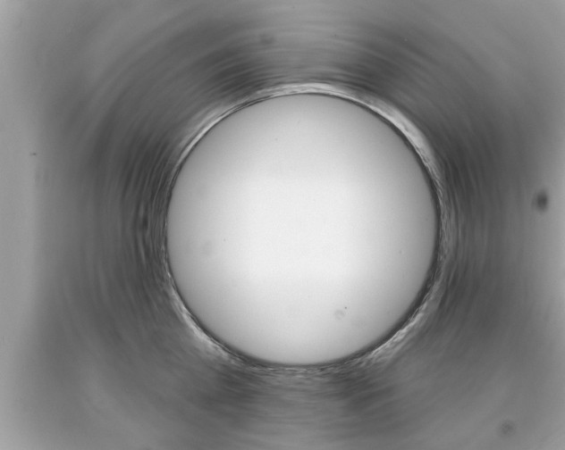 X0000094170809200710260908