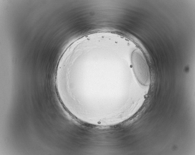 X0000094170810200710260908