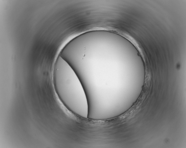 X0000094170811200710260908