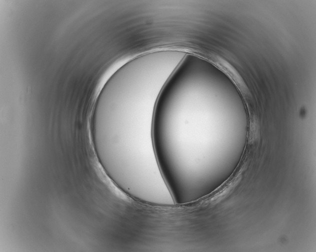 X0000094170812200710260908