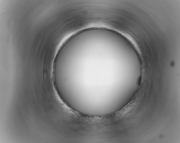 X0000094170815200710260908