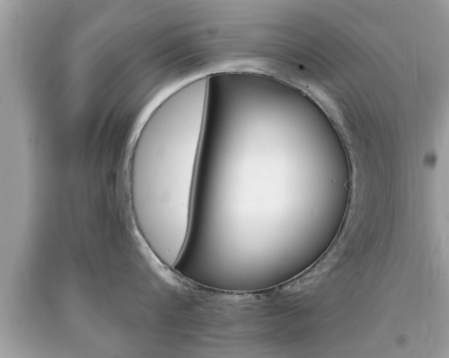 X0000094170816200710260908