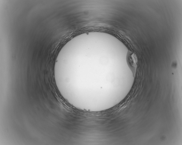 X0000094170820200710260907