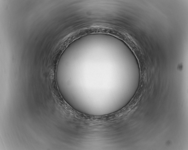 X0000094170821200710260907