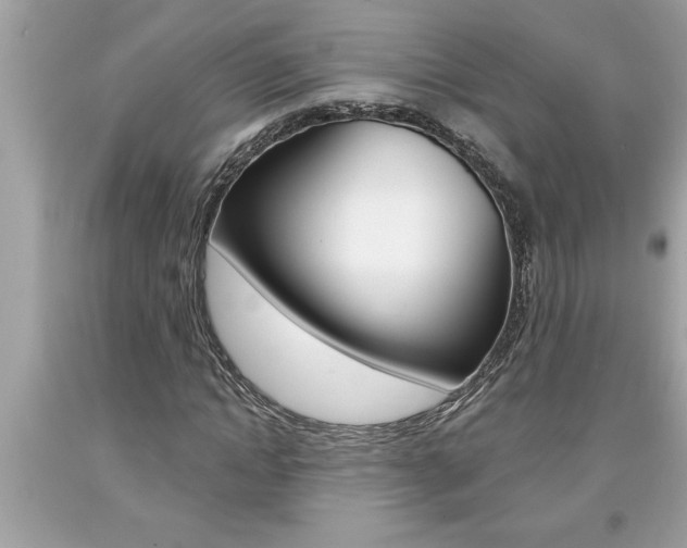 X0000094170822200710260907