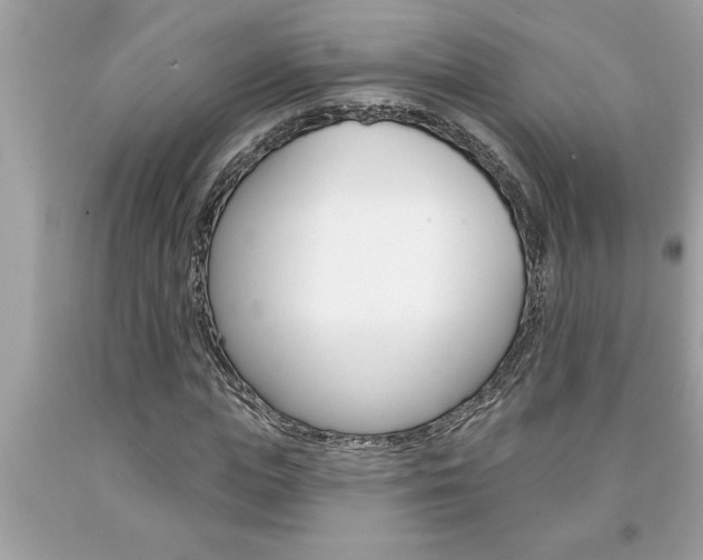 X0000094170823200710260907