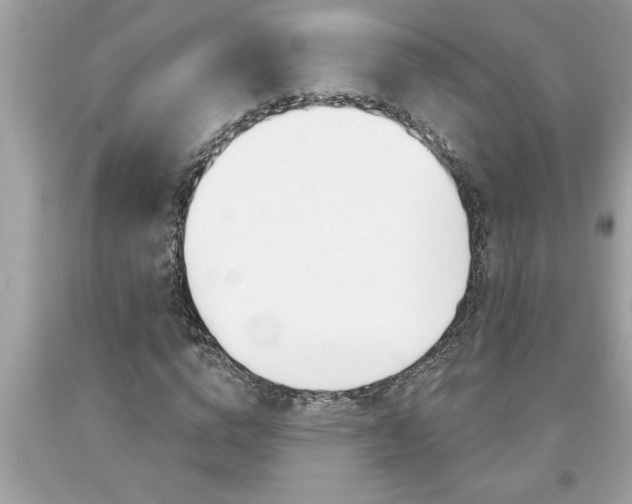 X0000094170824200710260907