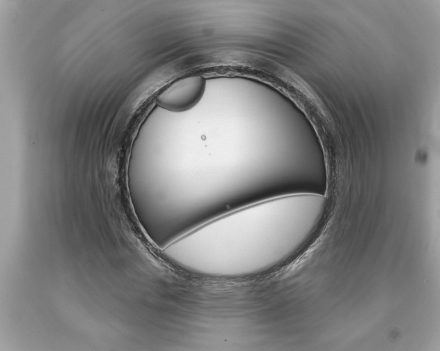 X0000094170826200710260907