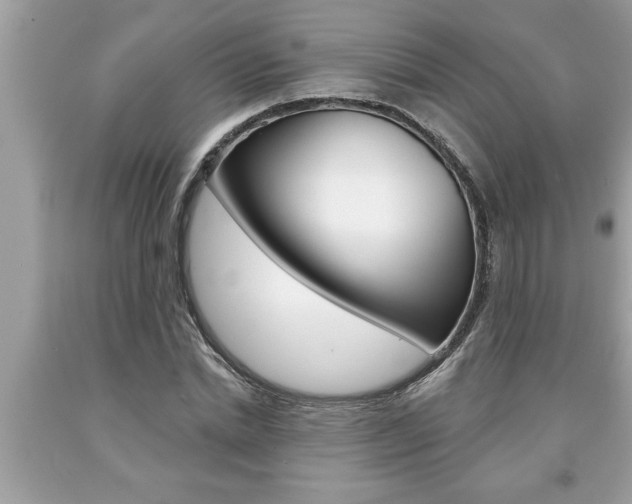 X0000094170830200710260907