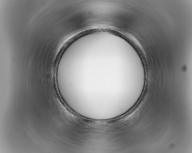 X0000094170831200710260907