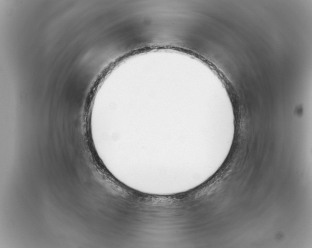 X0000094170832200710260907