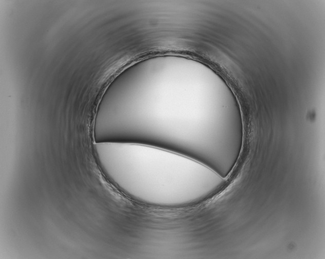X0000094170833200710260907