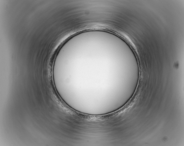 X0000094170835200710260907