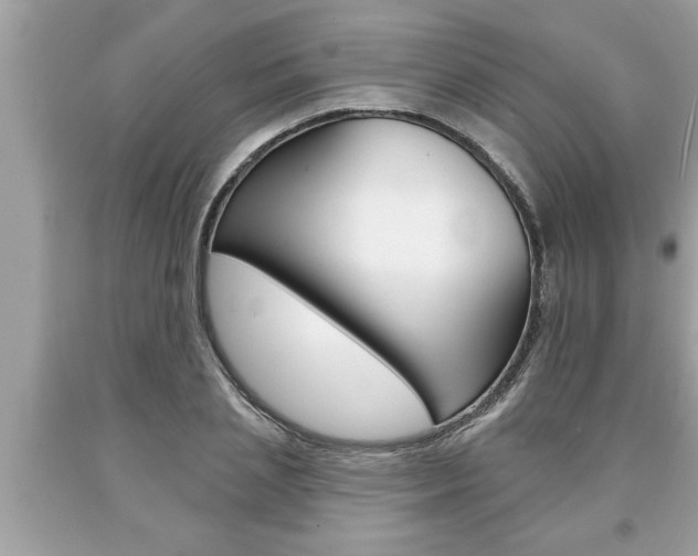 X0000094170837200710260907